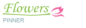 Pinner Flowers | Flowers by Post at Discounted Prices in HA5